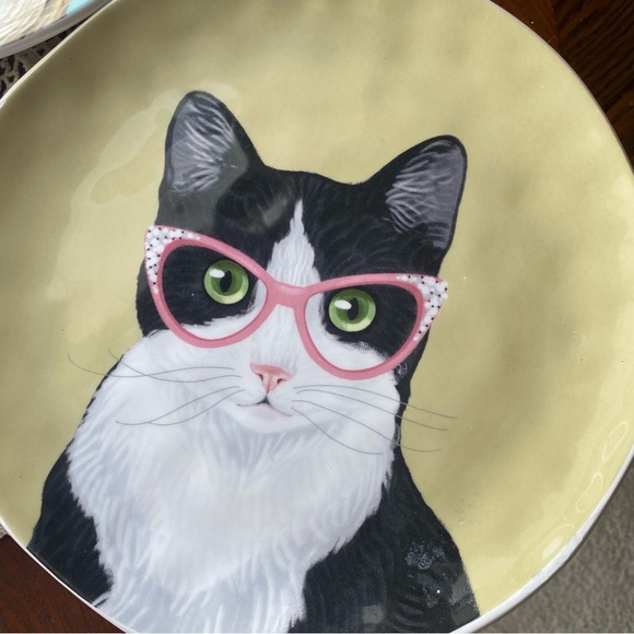 PIER 1 Imports - PARTY CATS Salad Plates - Set of 3 Ironstone EUC - Picture 7 of 11